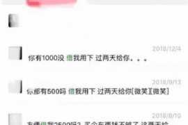 涉县为什么选择专业追讨公司来处理您的债务纠纷？